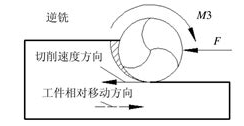 2024123141535769 东升国际官网-相信品牌力量