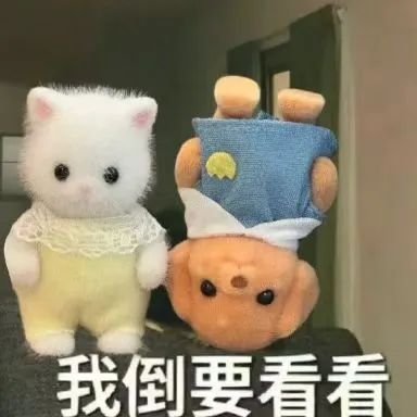 202412314515567 东升国际官网-相信品牌力量