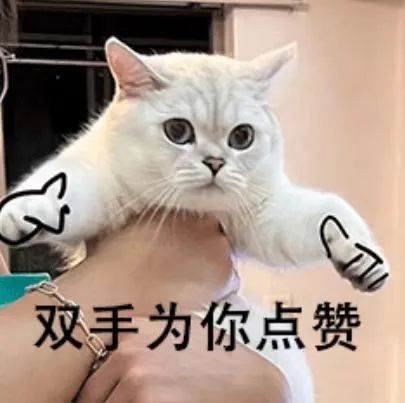202412316522395 东升国际官网-相信品牌力量