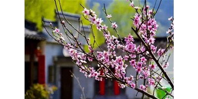 阳春三月，东升国际官网精机一大波展会即未来袭，您筹备好了吗？