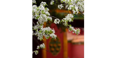【展会资讯】东升国际官网精机5月展会一览，等您来参观！