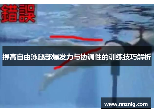提高自由泳腿部爆发力与协调性的训练技巧解析