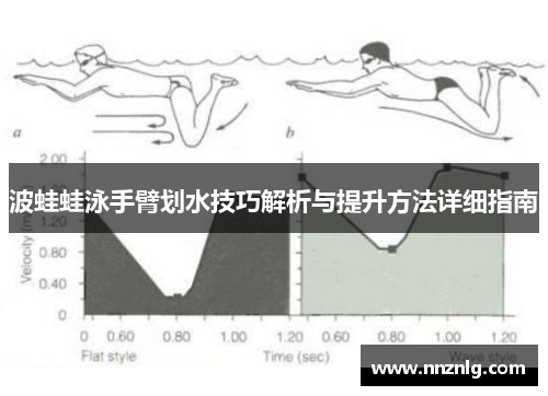波蛙蛙泳手臂划水技巧解析与提升方法详细指南